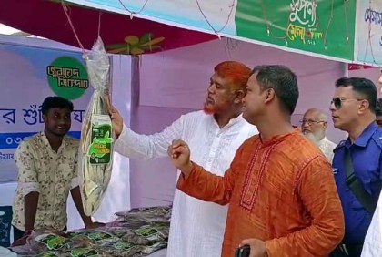 কুয়াকাটায় শুঁটকি মেলা