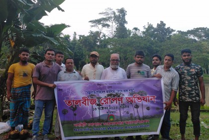 নলছিটিতে তালবীজ রোপণ অভিযান