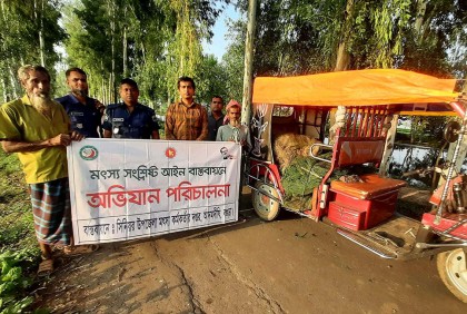রক্তদহ বিলে অভিযান, লাখ টাকার অবৈধ জাল জব্দ