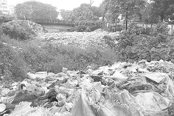 আবর্জনায় ভরাট খাল, চাষাবাদ ব্যাহত