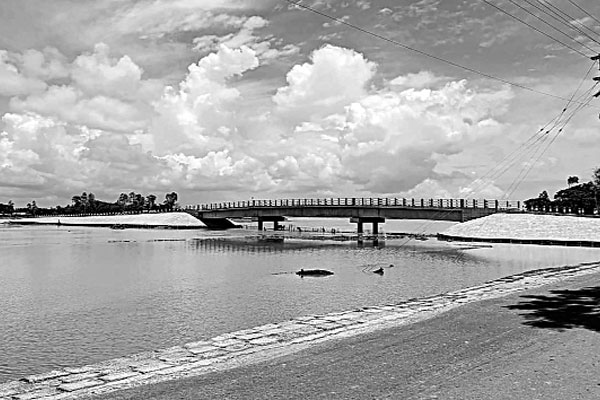 সেতুতে যোগাযোগের নতুন দিগন্ত