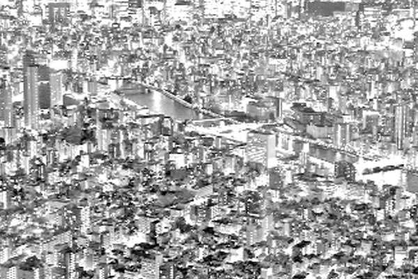 জাপানে অভিবাসীর সংখ্যা ৩২ লাখ ছাড়াল