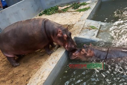 ‘লাল পাহাড়’র সঙ্গী হল ‘জলপরি’  