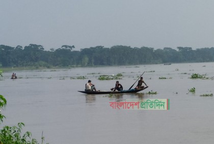 সুগন্ধা ও বিষখালী নদীতে অবাধে চলছে মা ইলিশ নিধন