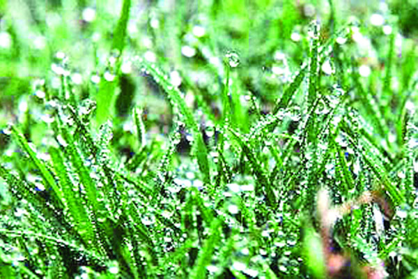 উত্তরে হেমন্তেই শীতের আমেজ