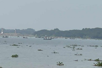 পায়রা নদীতে মা-ইলিশ শিকার চলছে