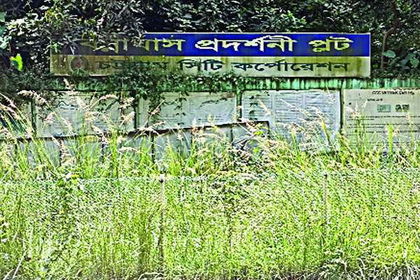 অন্ধকারে বিন্নাঘাস প্রকল্প