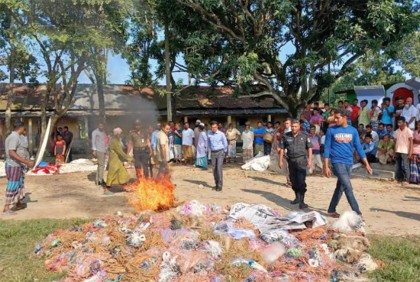 বড়াইগ্রামে কারেন্টজাল জব্দ, ৩ জনের কারাদণ্ড