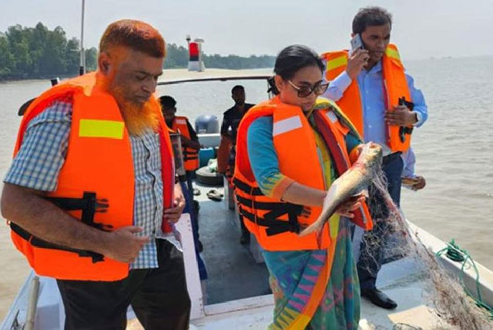 মানিকগঞ্জে ইলিশ শিকারের অপরাধে ১৩ জেলের জেল-জরিমানা