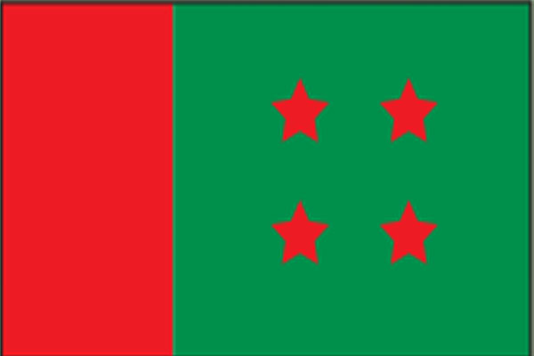 পাহারাদারের ভূমিকায় থাকবে আওয়ামী লীগ