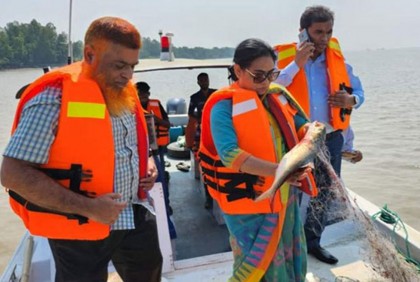 মানিকগঞ্জে ইলিশ শিকারের অপরাধে ১৩ জেলের জেল-জরিমানা