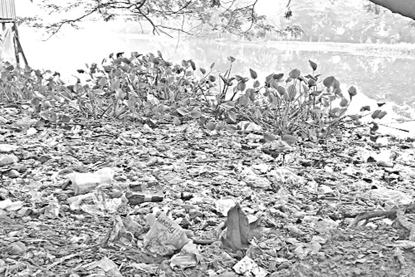পলিথিনে পরিবেশের সর্বনাশ