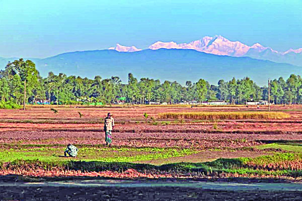 তেঁতুলিয়া থেকে কাঞ্চনজঙ্ঘা