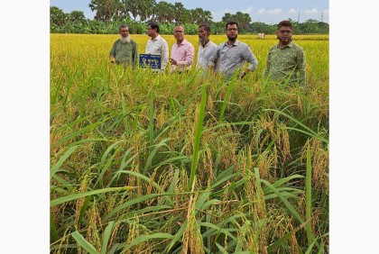 'কৃষিকে লাভজনক করতে হবে'