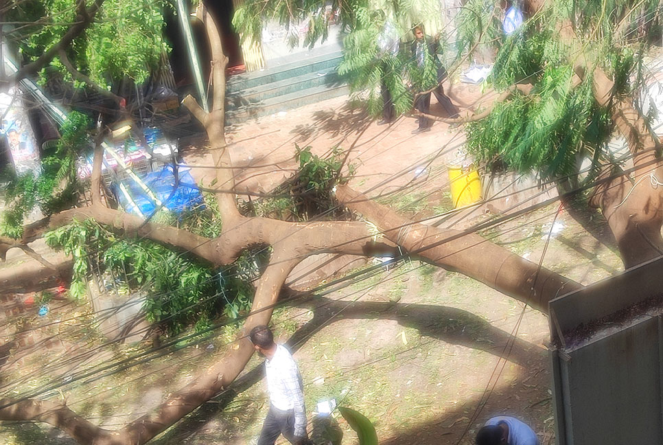 ঘূর্ণিঝড় ‘হামুন’র তাণ্ডবে লণ্ডভণ্ড কক্সবাজার, নিহত ৩