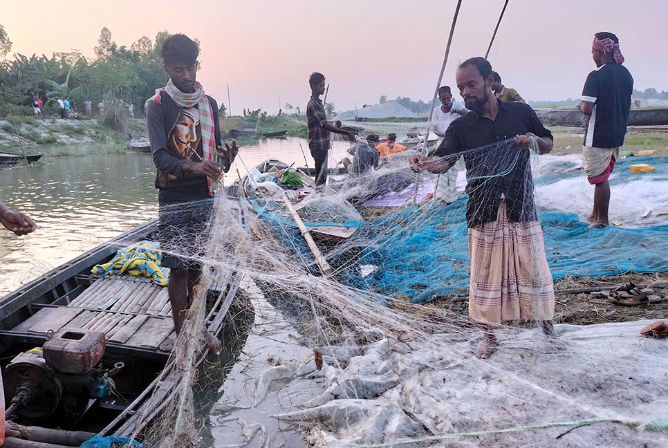 নিষেধাজ্ঞা উপেক্ষা করে মা ইলিশ শিকার