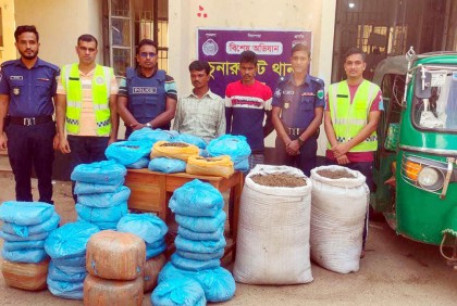 বিপুল পরিমাণ গাঁজাসহ দুই মাদক কারবারি আটক