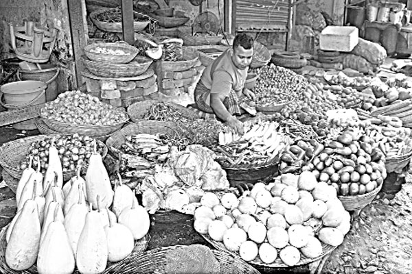 বগুড়ায় কমতে শুরু করেছে সবজির দাম