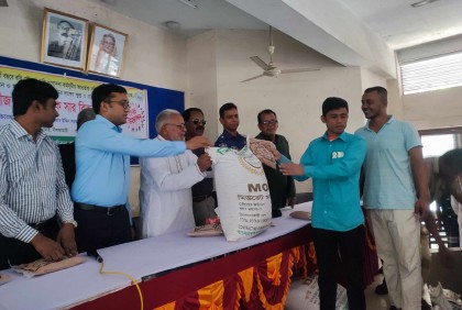 নীলফামারীর ডোমারে বিনামূল্যে বীজ ও সার বিতরণ

