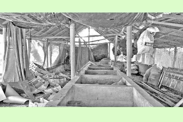 দুধ সংগ্রহ বন্ধ, নিঃস্ব খামারিরা