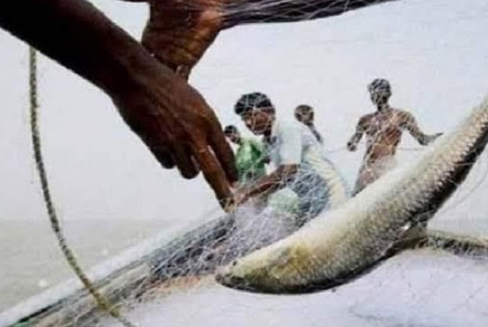 নিষেধাজ্ঞা শেষে মাছ ধরার প্রস্তুতি নিচ্ছে শরীয়তপুরের জেলেরা