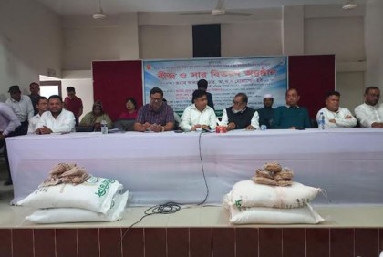 কালিয়াকৈরে বিনামূল্যে বীজ ও সার বিতরণ