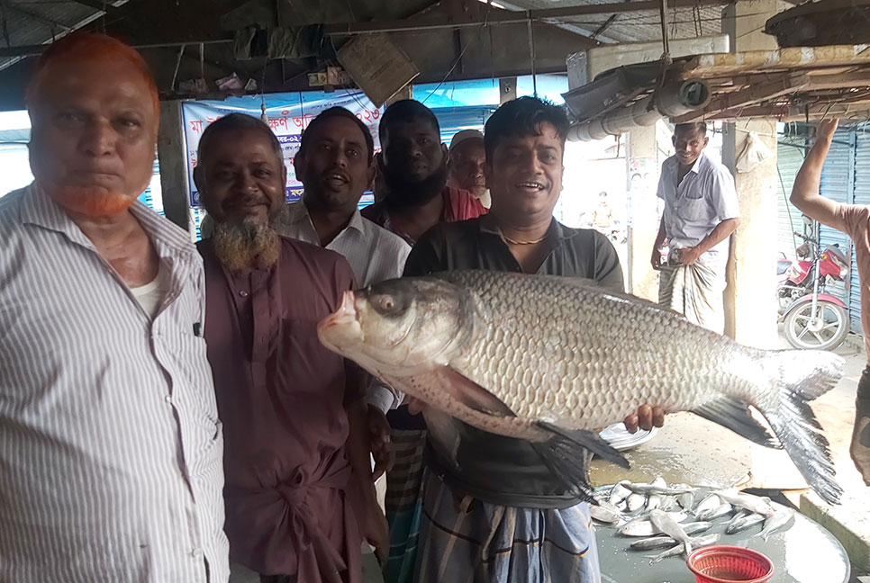 এক কাতল বিক্রি হলো ২৩ হাজার টাকায়
