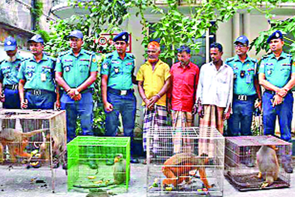 পাঁচ মুখপোড়া হনুমান উদ্ধার

