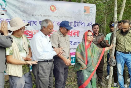 সুন্দরবনে বাঘ গণনা শুরু