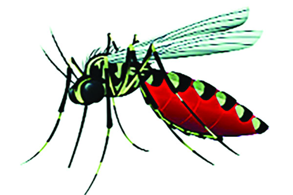ডেঙ্গুতে মৃত্যু ১৪০০ ছাড়াল