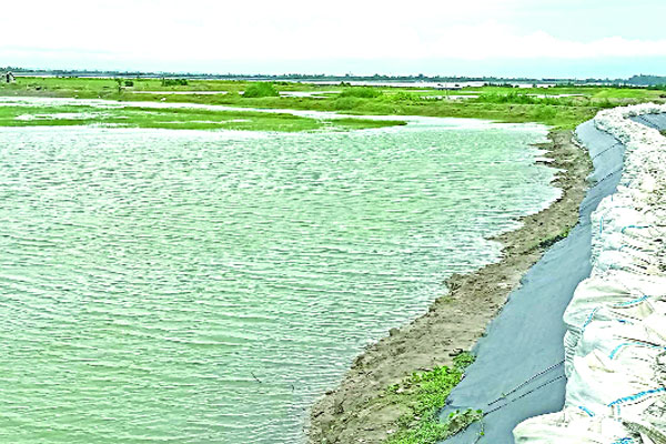 বন ধ্বংস করে মাছ চাষ