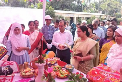 লোকশিল্প-পিঠা-স্বাস্থ্য ও বিজ্ঞান মেলা