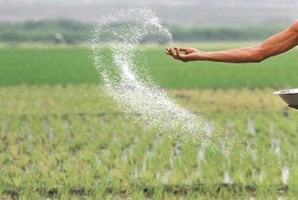 ৯০ হাজার টন ইউরিয়া সার কিনবে সরকার