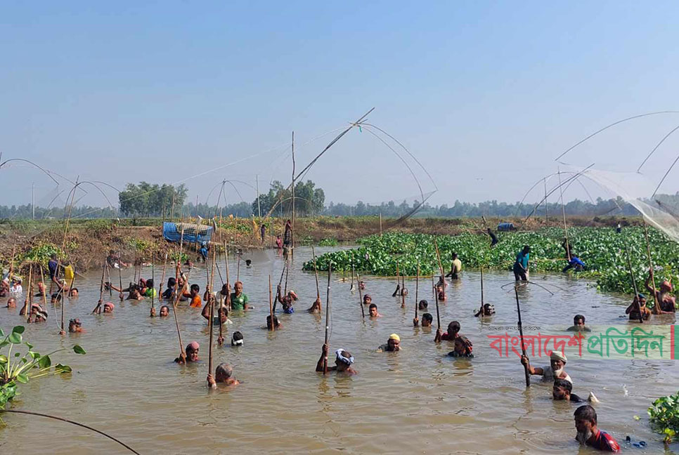 ঐতিহ্যবাহী শাইল-সিন্দুর খালে মাছ ধরার উৎসব