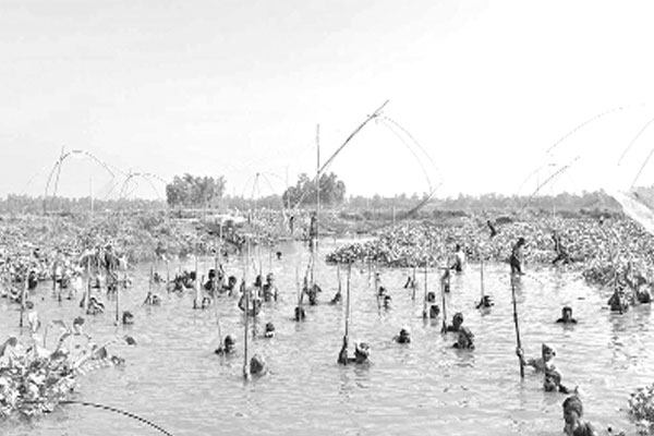 সখীপুরে মাছ ধরার উৎসব