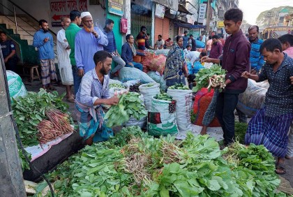 নেত্রকোনার বাজারে উঠতে শুরু করেছে শীতের সবজি