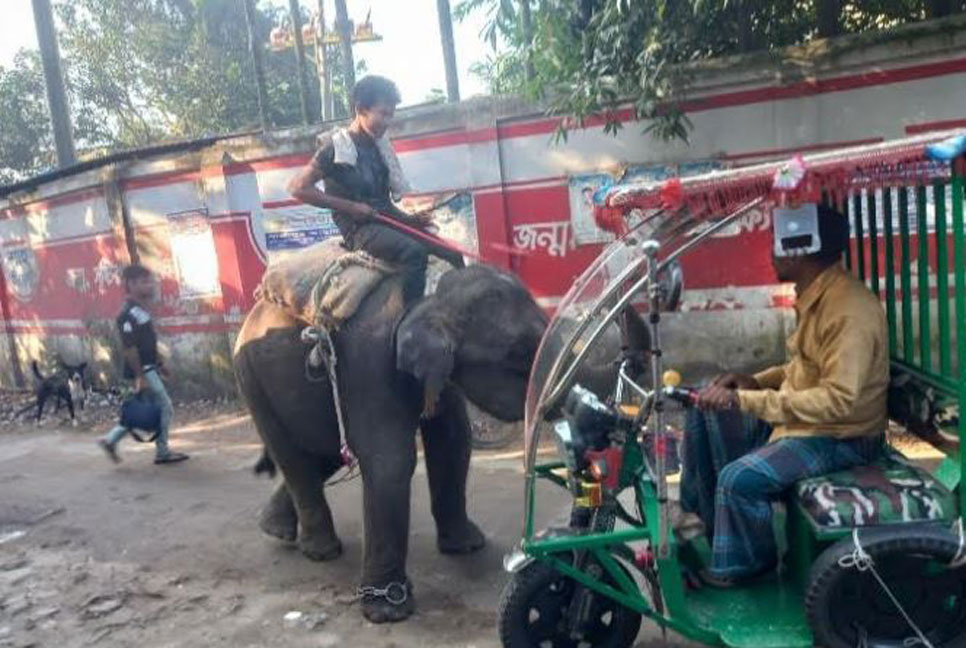 কালিয়াকৈরে হাতি দিয়ে চাঁদাবাজি