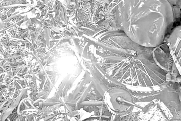 আট জেলায় সড়কে ঝরল ১৩ প্রাণ