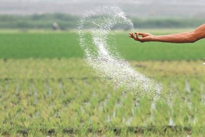 ৩ দেশ থেকে ৬৩৯ কোটি টাকার সার কিনছে সরকার