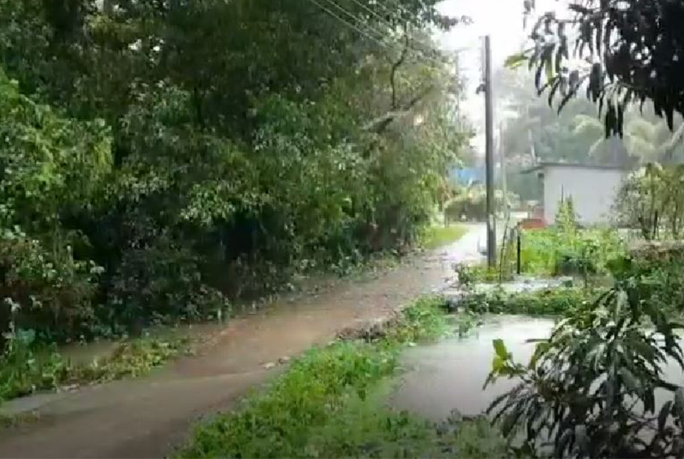 শরীয়তপুরে বৈরী আবহাওয়া, দিনভর ভারী বর্ষণ-দমকা হাওয়া