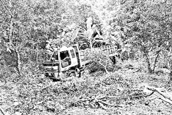 সড়কে ঝরল ১০ প্রাণ