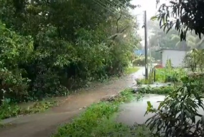 শরীয়তপুরে বৈরী আবহাওয়া, দিনভর ভারী বর্ষণ-দমকা হাওয়া