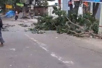 ঘূর্ণিঝড় মিধিলি, গাছের ডাল পড়ে একজনের মৃত্যু