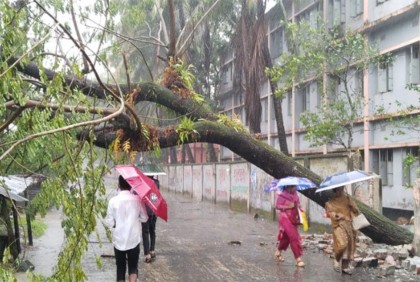 ঘূর্ণিঝড় মিধিলির প্রভাবে ঝালকাঠিতে ঝড়ো হাওয়া ও বর্ষণ 