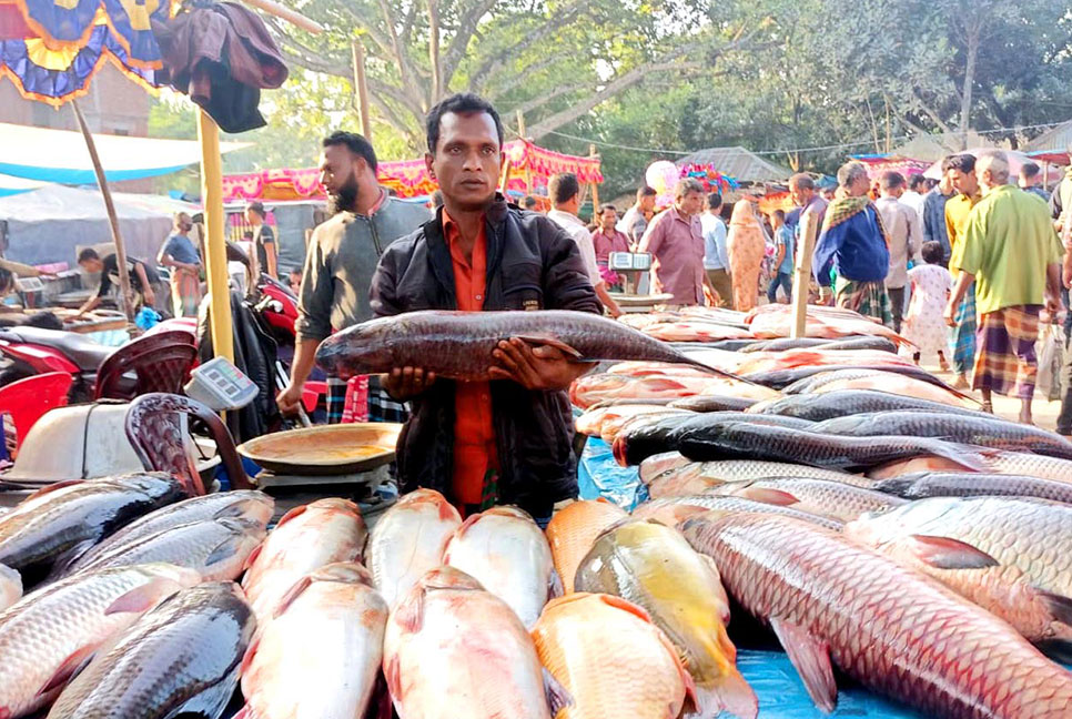 বগুড়ার ২০ গ্রামে চলছে নবান্নের উৎসব
