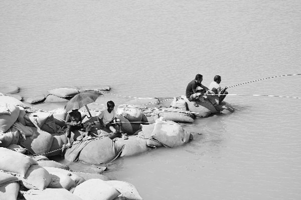 পদ্মায় বড়শি দিয়ে মাছ ধরার হিড়িক