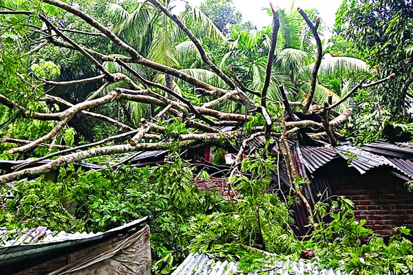 ঘূর্ণিঝড় মিধিলায় নিহত ৫