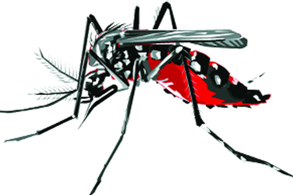 ডেঙ্গুজ্বরে হাসপাতালে ভর্তি ৩ লাখ ছাড়াল