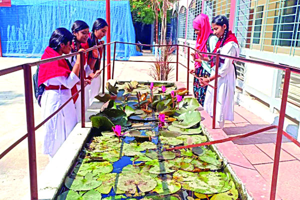 নান্দনিক স্কুল চত্বর