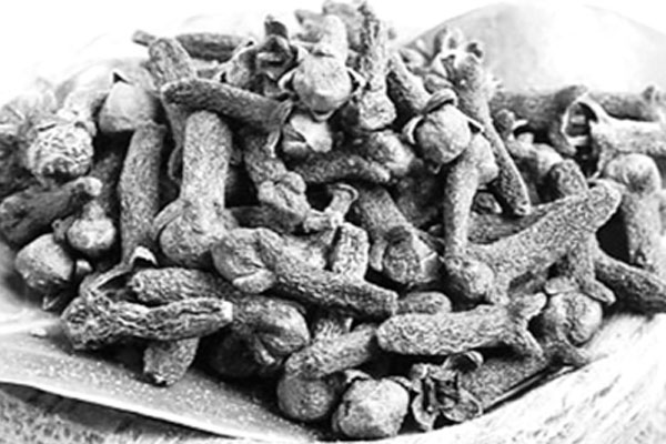 লবঙ্গের গুণ